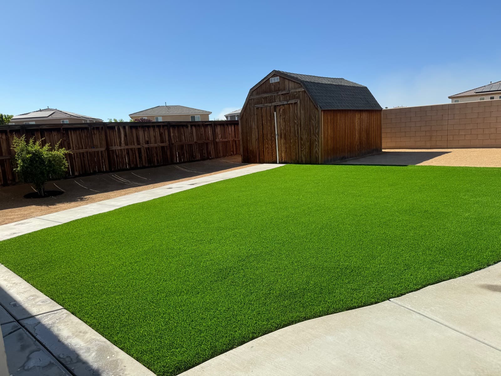 Rectangular backyard turf lawn beside a concrete patio and wood shed