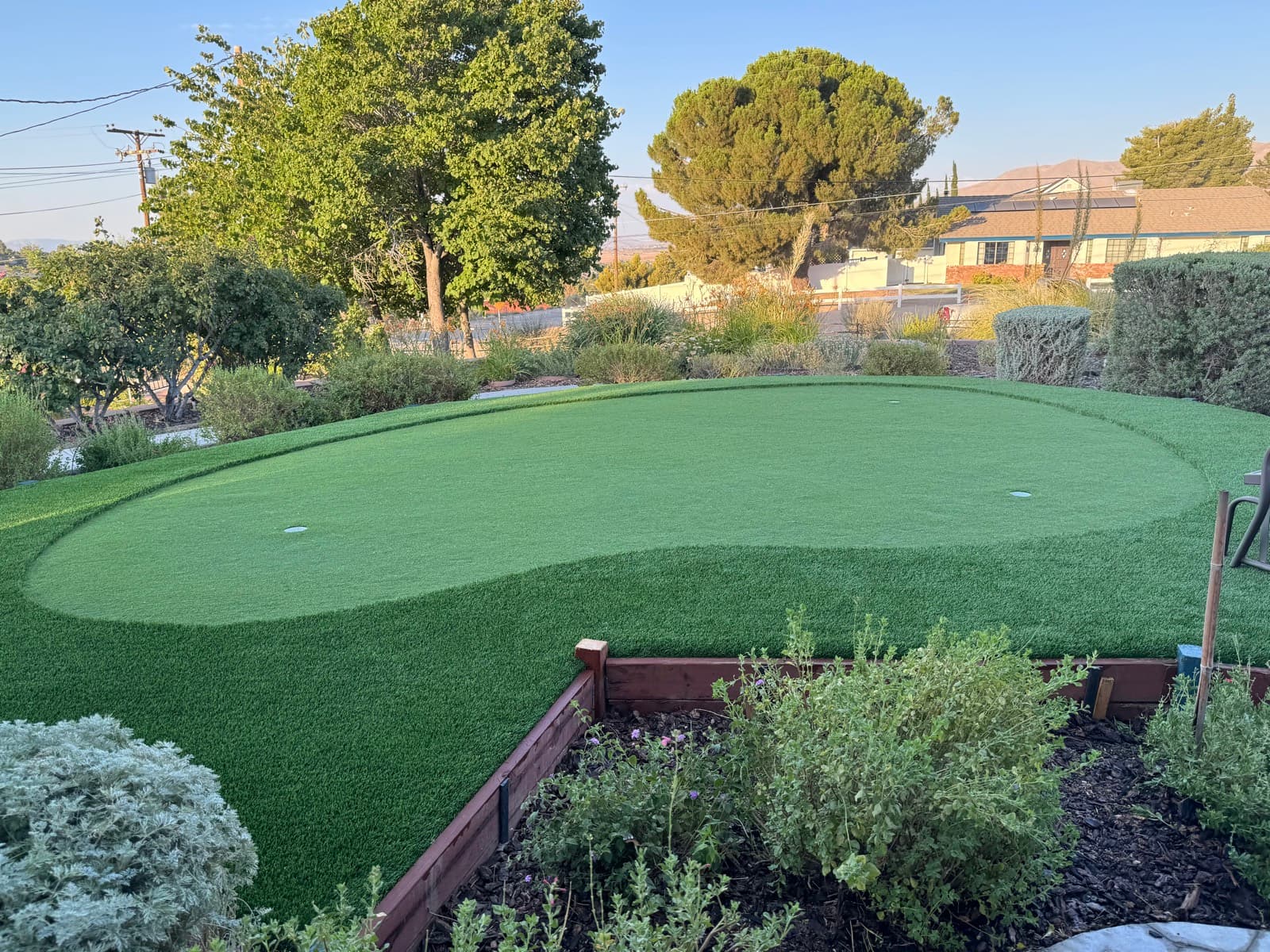 Kidney-shaped putting green with a longer turf fringe and three cups