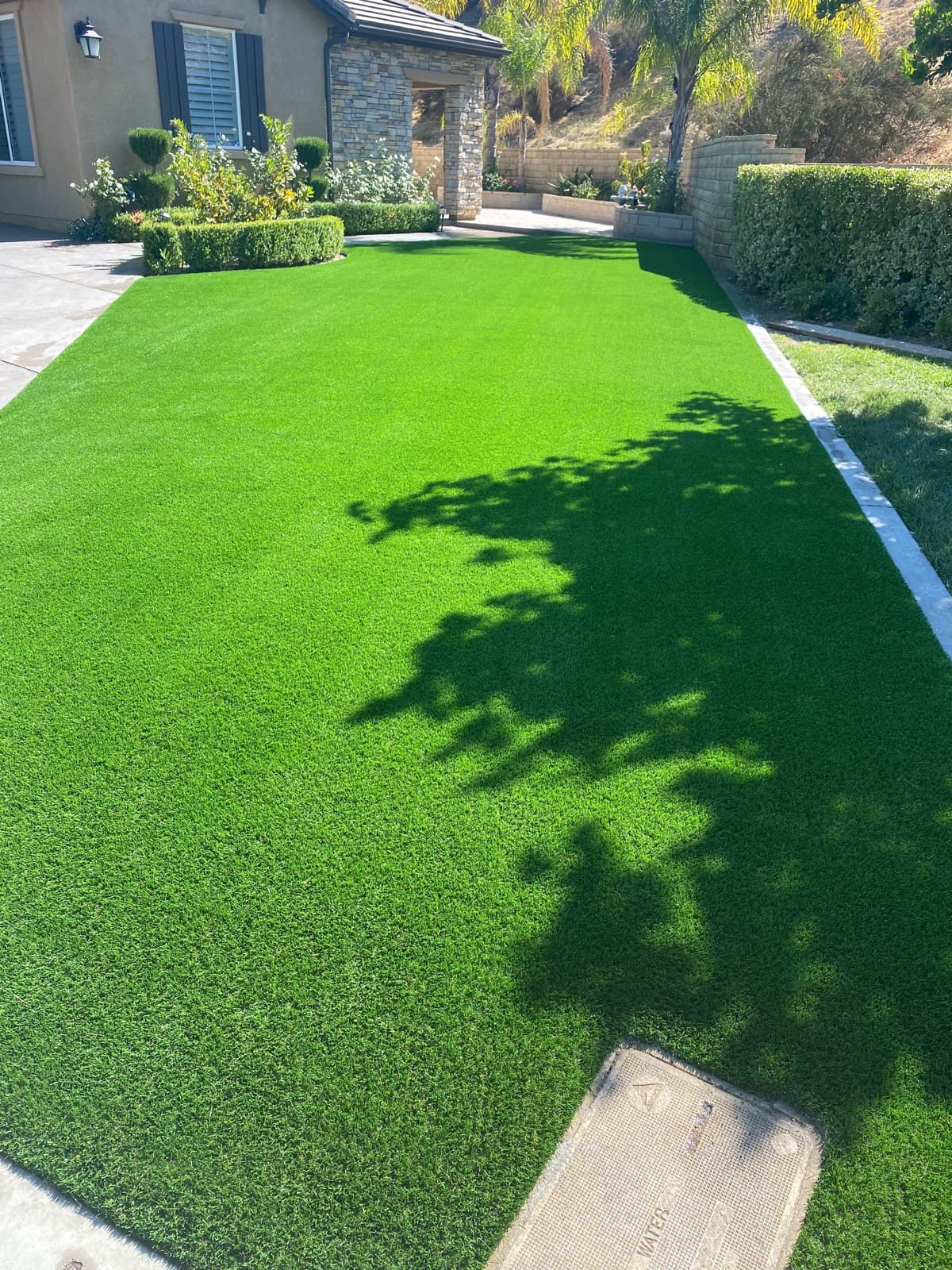 Level side-yard turf lawn with a concrete walk and tree shade