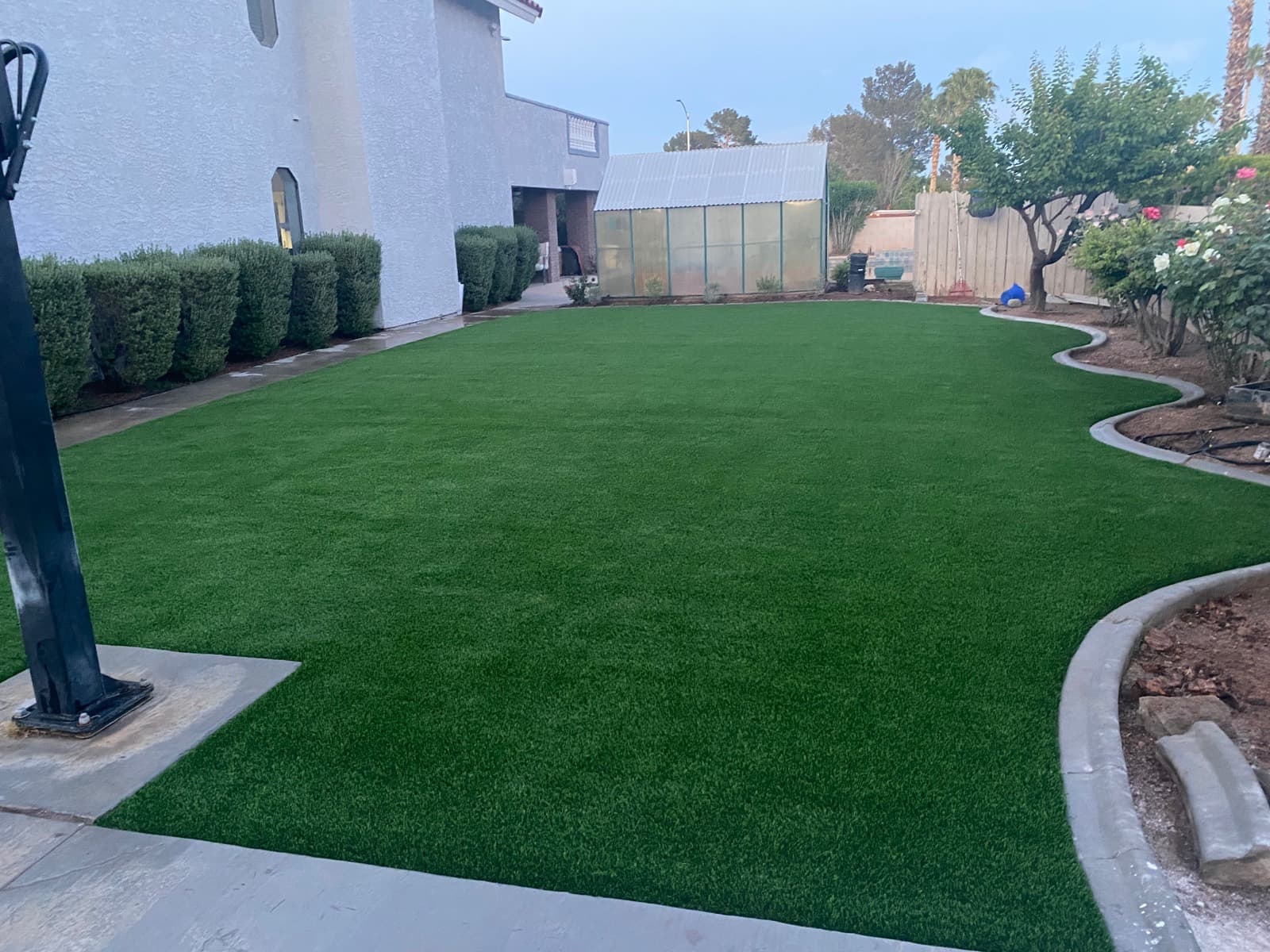 Backyard turf lawn with scalloped concrete edging and flower beds