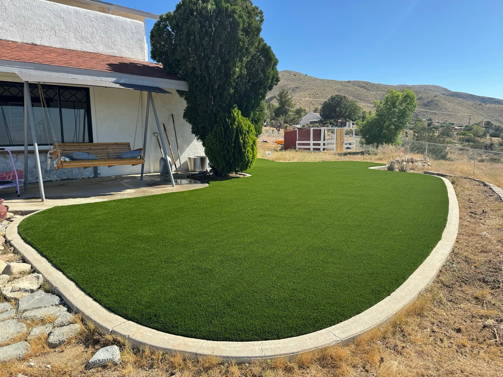 Large curved turf lawn with a concrete curb in an open yard
