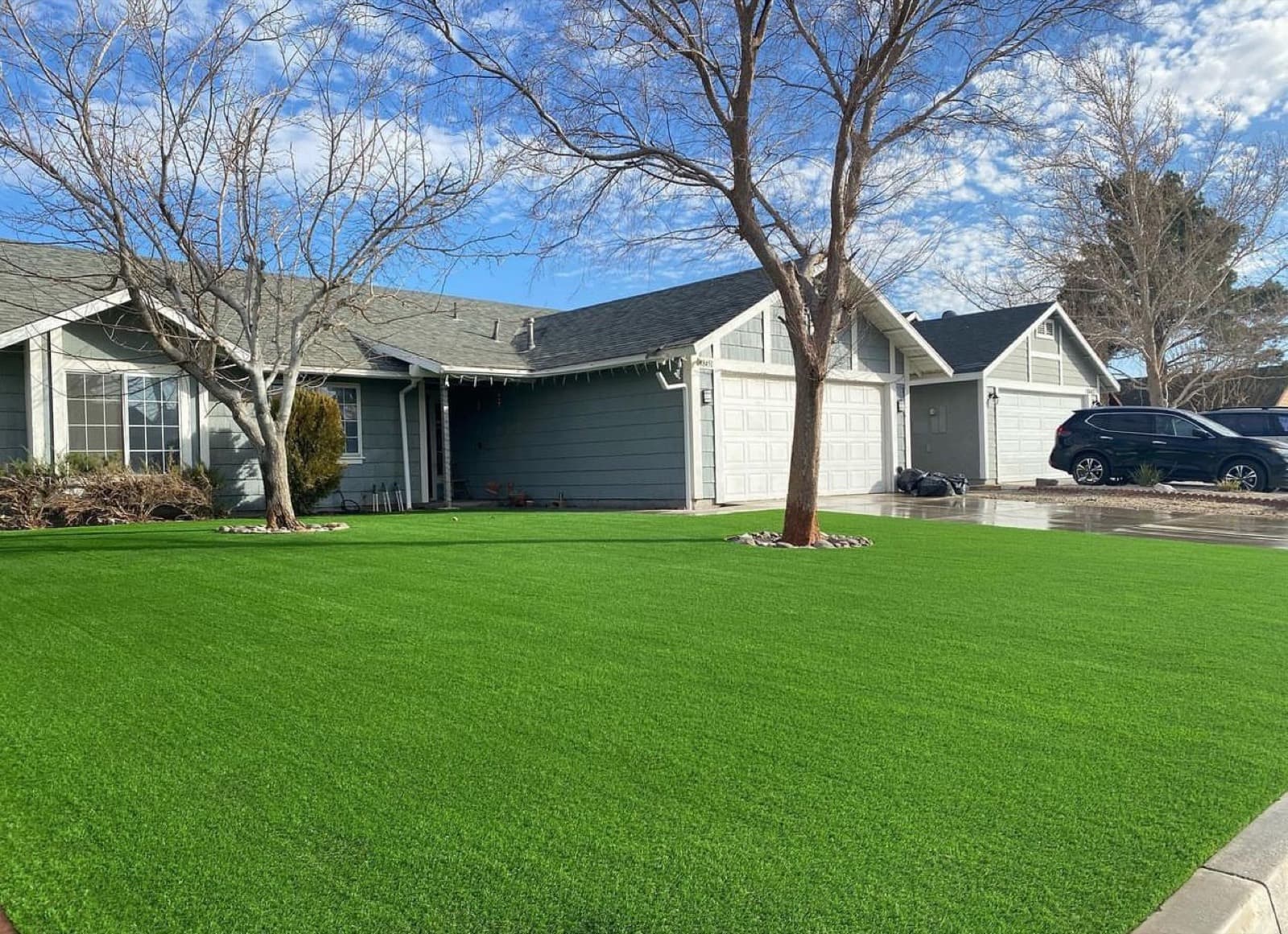 Front-yard turf lawn with two trees in circular stone rings
